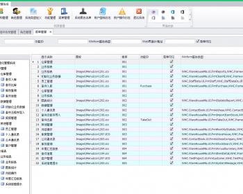 伍华聪WHC.net开发框架权限管理系统,winform框架MVC框架源码