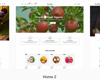 Shopify主题独立站有机食品、新鲜水果、蔬菜电子商务模板跨境电商4种风格Fruita
