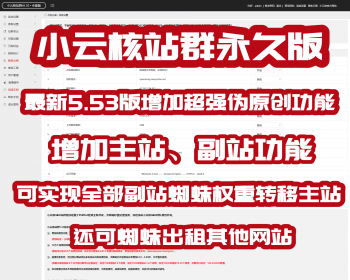 2022新版小云核蜘蛛池站群 PHP电影小说泛目录站群程序源码（无限制版本）