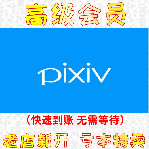 P站会员 PIXIV高级会员 pixiv会员1个月代充 快速到账