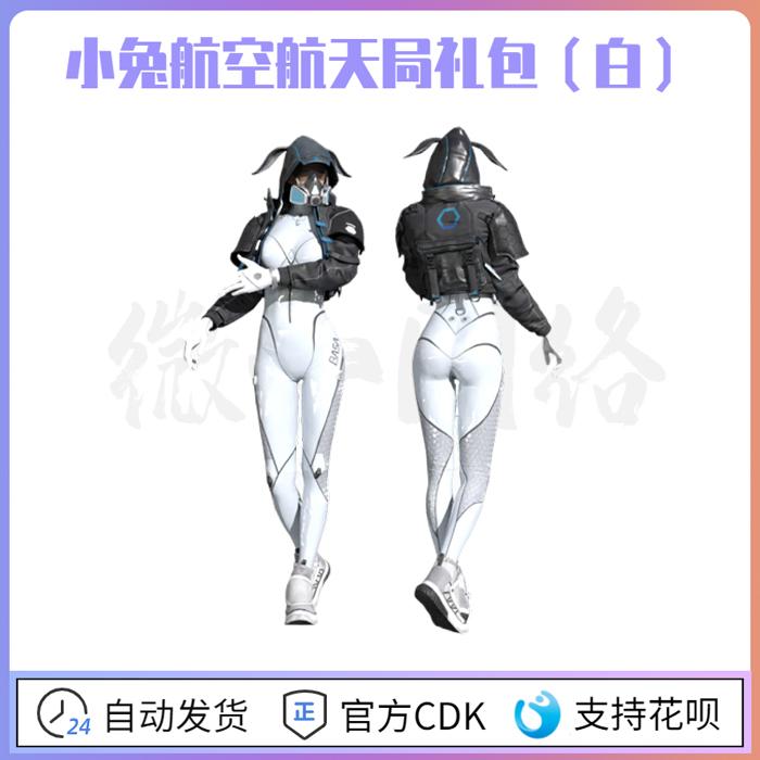 绝地求生PUBG小兔航空礼包(白)皮肤CDK外套皮裤中秋套装STEAM吃鸡