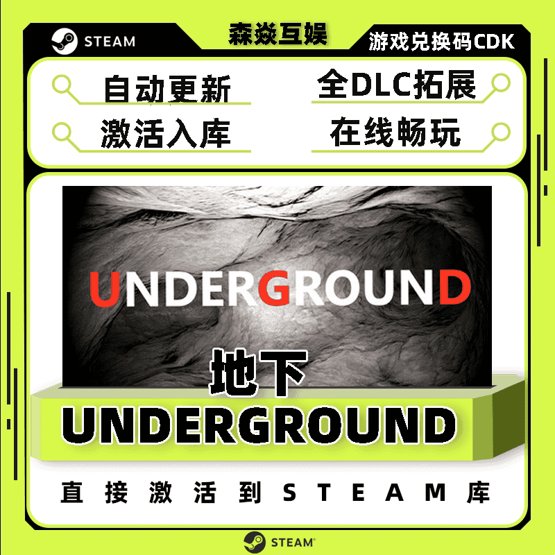 steam正版 地下 UNDERGROUND 国区 全球区 激活码cdk 激活入库