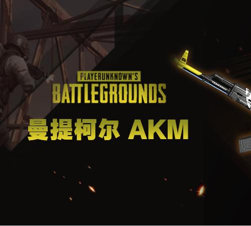 【官方正品CDK】PUBG 曼提柯尔 - AKM【皇冠信誉,谨防假冒】