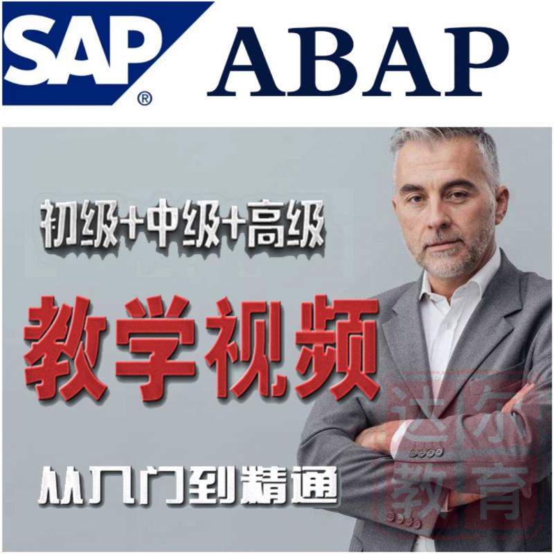 SAP系统 ABAP开发模块视频教学教程（初级 中级 高级）